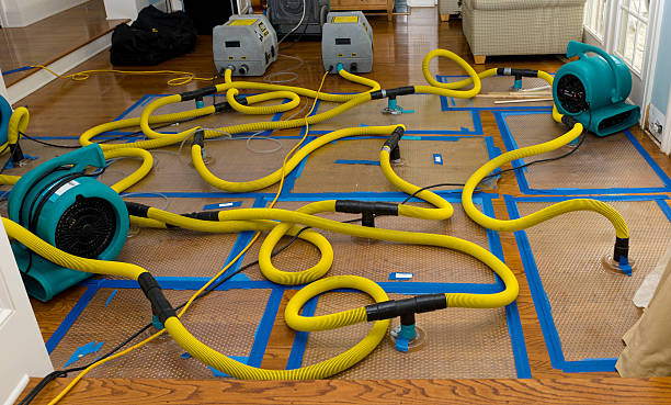 Professional Water Damage Restoration technician working in Newcastle, CA